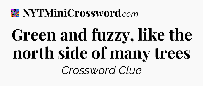 Green and fuzzy, like the north side of many trees Crossword Clue