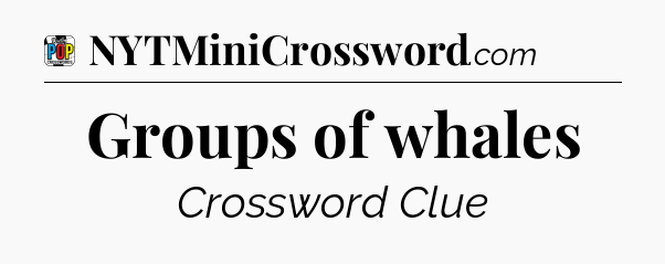 Groups of whales Crossword Clue
