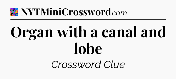 Organ with a canal and lobe Crossword Clue