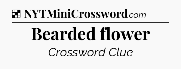 Solution: Bearded flower - NYT Crossword