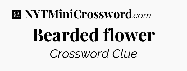 Bearded flower - LA Times Crossword