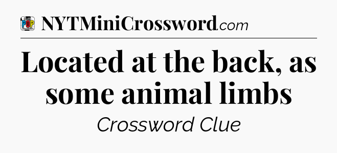 Located at the back, as some animal limbs Crossword Clue