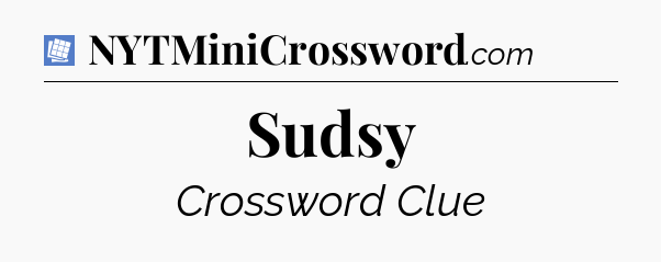 Sudsy Puzzle Page Crossword Clue