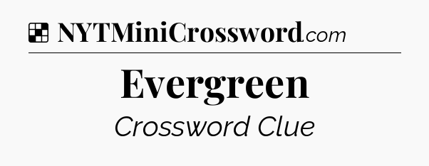 Solution: Evergreen - NYT Crossword