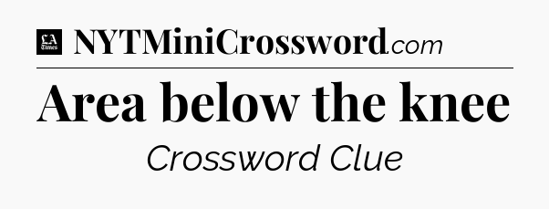 Area below the knee - LA Times Crossword