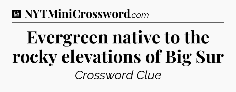 Evergreen native to the rocky elevations of Big Sur - LA Times Crossword