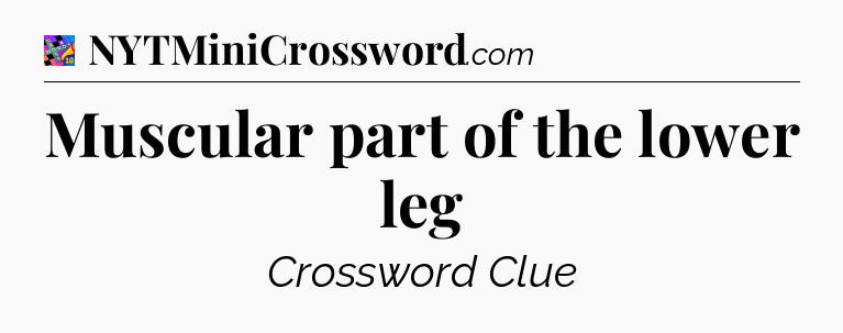 Muscular part of the lower leg Crossword Clue