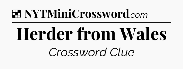 Solution: Herder from Wales - NYT Crossword