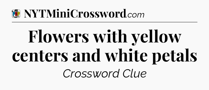 Flowers with yellow centers and white petals Crossword Clue