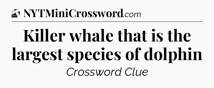Killer whale that is the largest species of dolphin - Daily Themed Classic Crossword