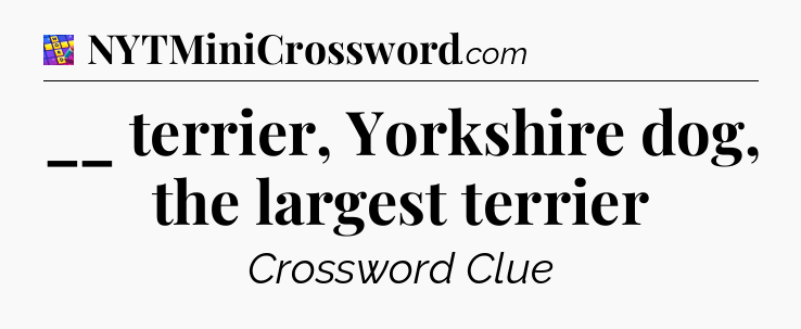 __ terrier, Yorkshire dog, the largest terrier Codycross