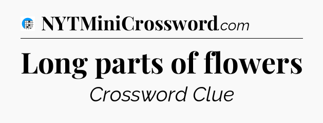 Long parts of flowers Crossword Clue