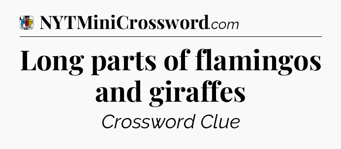 Long parts of flamingos and giraffes Crossword Clue