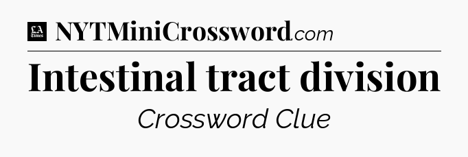 Intestinal tract division - LA Times Crossword