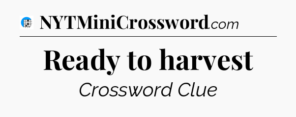 Ready to harvest Crossword Clue