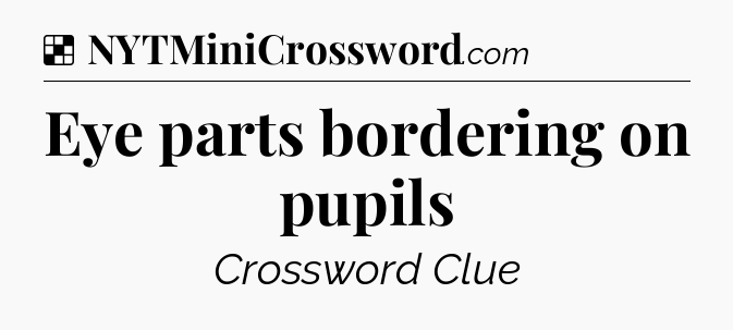 Solution: Eye parts bordering on pupils - NYT Crossword