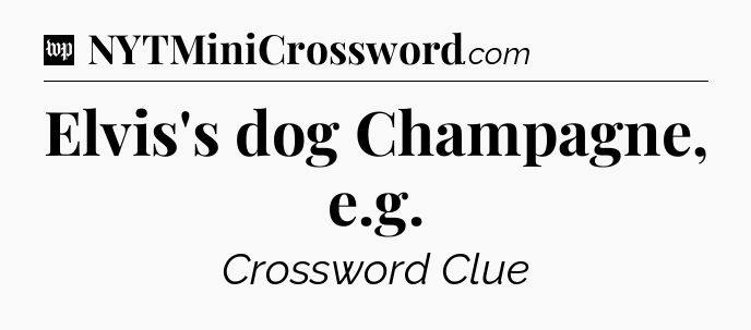 Elvis's dog Champagne, e.g Crossword Clue