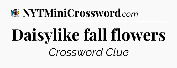 Daisylike fall flowers Crossword Clue