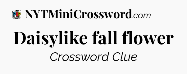 Daisylike fall flower Crossword Clue