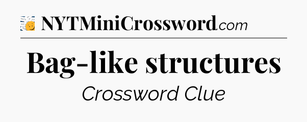 Bag-like structures - 7 Little Words