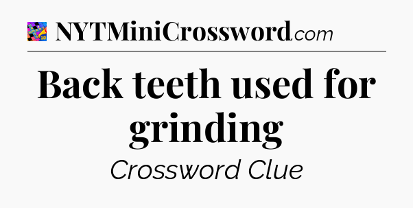 Back teeth used for grinding Crossword Clue