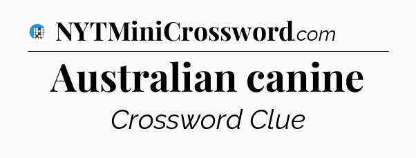 Australian canine Crossword Clue