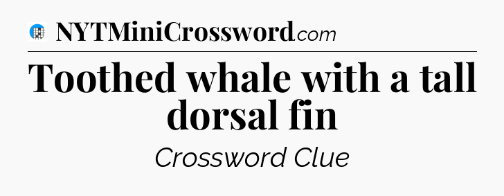Toothed whale with a tall dorsal fin Crossword Clue