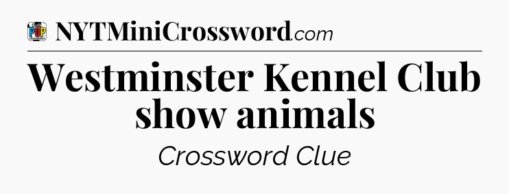 Westminster Kennel Club show animals Crossword Clue