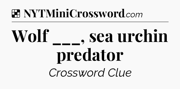 Solution: Wolf ___, sea urchin predator - NYT Crossword
