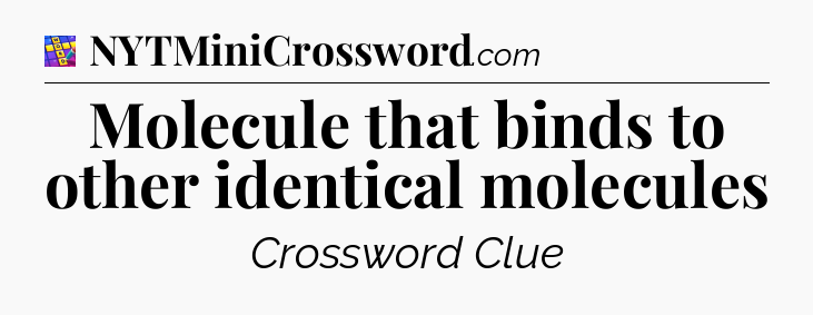 Molecule that binds to other identical molecules Codycross
