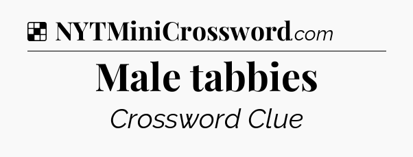Solution: Male tabbies - NYT Crossword