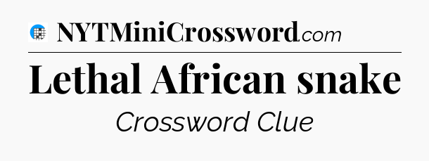Lethal African snake Crossword Clue