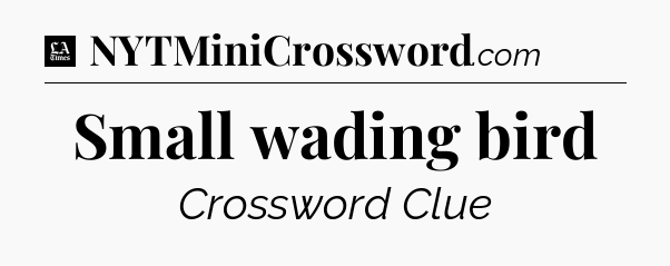 Small wading bird - LA Times Crossword