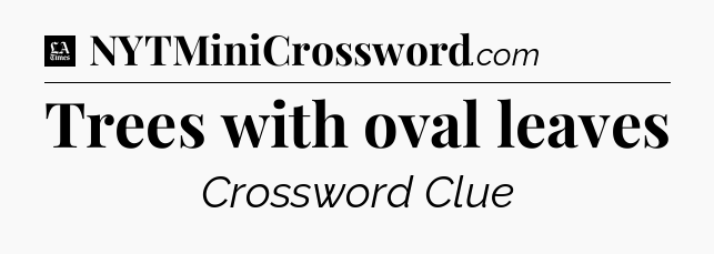 Trees with oval leaves - LA Times Crossword