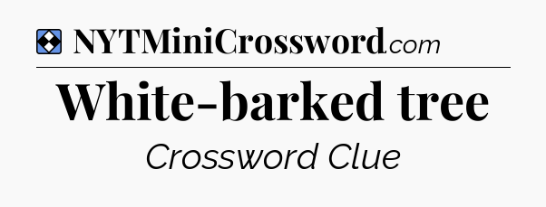 Solution: White-barked tree - NYT Mini Crossword