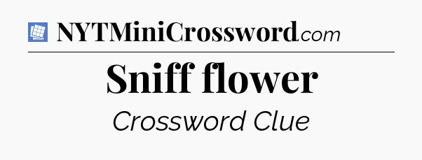Sniff flower Puzzle Page Crossword Clue