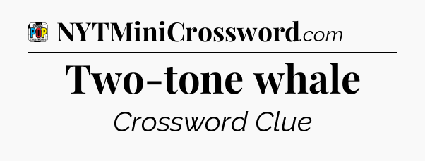 Two-tone whale Crossword Clue