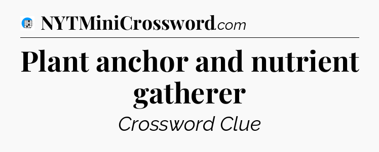 Plant anchor and nutrient gatherer Crossword Clue