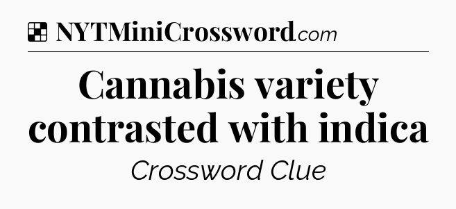 Solution: Cannabis variety contrasted with indica - NYT Crossword