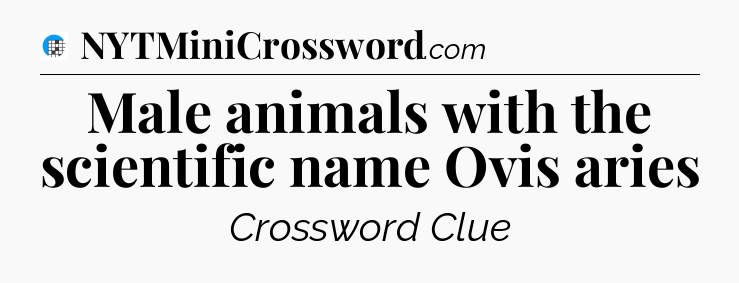 Male animals with the scientific name Ovis aries Crossword Clue