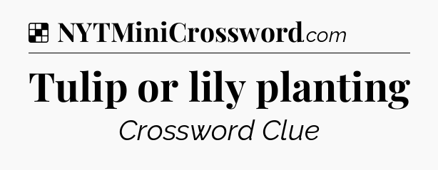 Solution: Tulip or lily planting - NYT Crossword