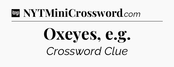 Oxeyes, e.g Crossword Clue