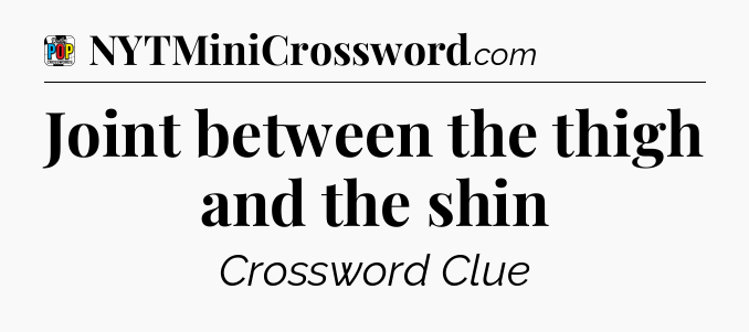 Joint between the thigh and the shin Crossword Clue