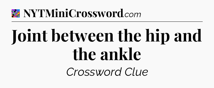 Joint between the hip and the ankle Crossword Clue