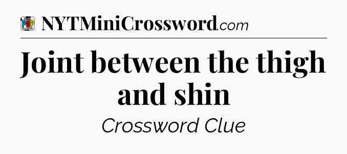Joint between the thigh and shin Crossword Clue