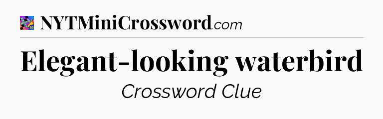 Elegant-looking waterbird Crossword Clue