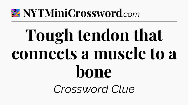 Tough tendon that connects a muscle to a bone Crossword Clue
