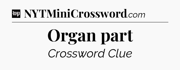 Organ part Crossword Clue