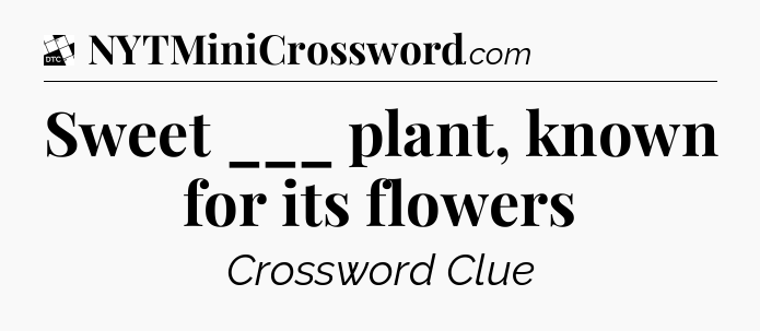 Sweet ___ plant, known for its flowers - Daily Themed Classic Crossword