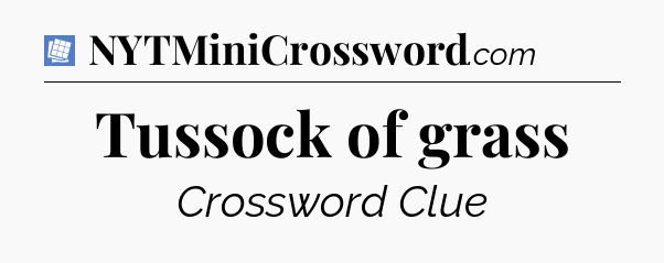 Tussock of grass Puzzle Page Crossword Clue